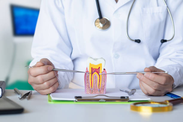 Best Emergency Orthodontic Repairs in Monte Sereno, CA